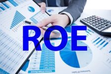 Chi-so-ROE-icon
