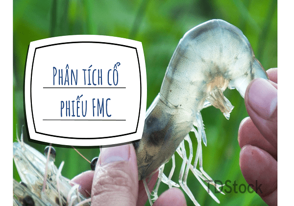 phan-tich-co-phieu-FMC-icon