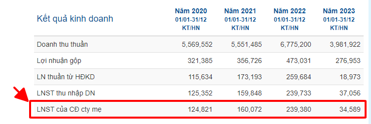 Lợi nhuận ròng - net profit